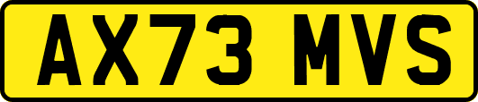 AX73MVS