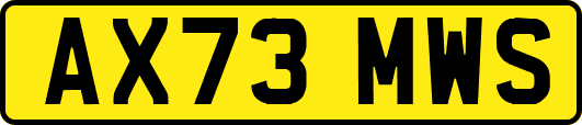 AX73MWS