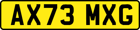 AX73MXG