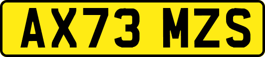 AX73MZS
