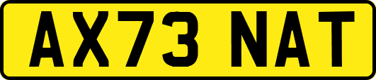 AX73NAT