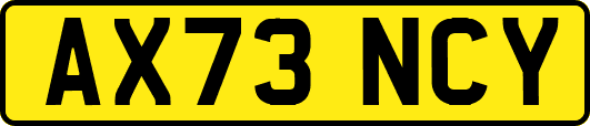 AX73NCY