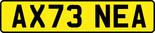 AX73NEA