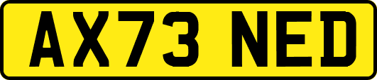 AX73NED