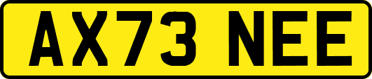 AX73NEE