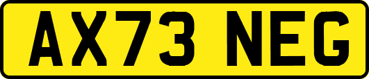 AX73NEG