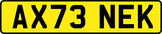 AX73NEK
