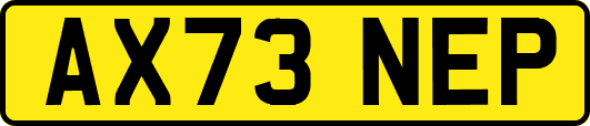 AX73NEP