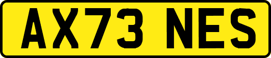 AX73NES