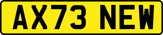 AX73NEW
