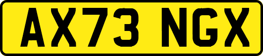 AX73NGX