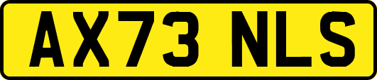 AX73NLS
