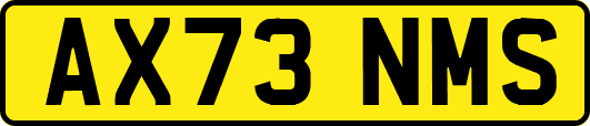 AX73NMS