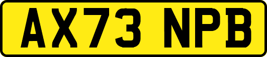 AX73NPB