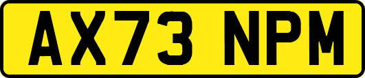 AX73NPM