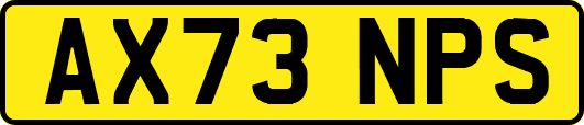 AX73NPS