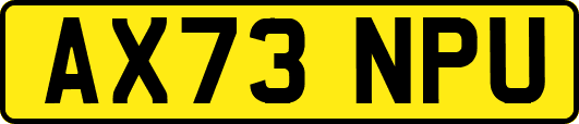AX73NPU