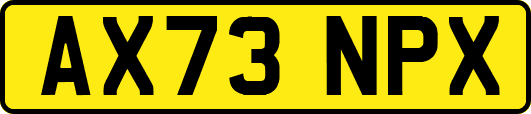 AX73NPX