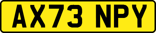 AX73NPY