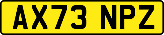 AX73NPZ