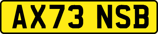 AX73NSB