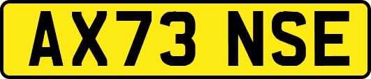 AX73NSE