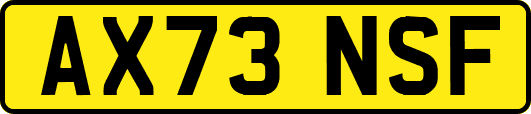 AX73NSF