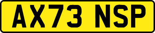 AX73NSP