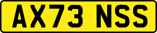AX73NSS