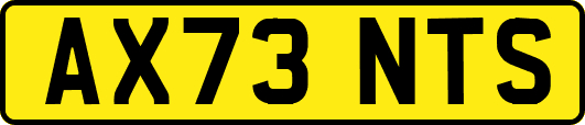 AX73NTS