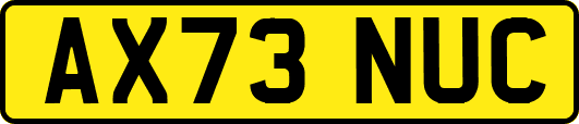 AX73NUC