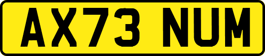 AX73NUM