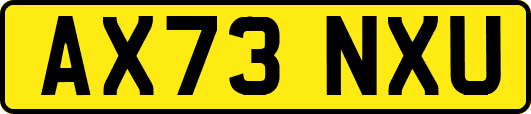 AX73NXU