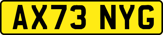 AX73NYG