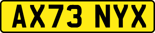 AX73NYX