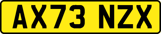 AX73NZX
