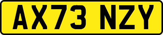 AX73NZY