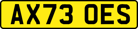 AX73OES
