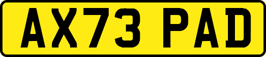 AX73PAD