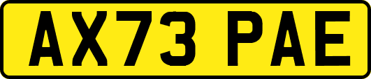 AX73PAE