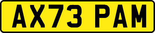 AX73PAM