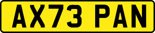 AX73PAN