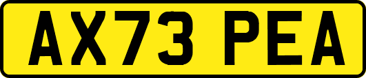 AX73PEA