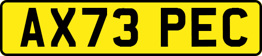 AX73PEC