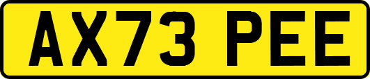 AX73PEE