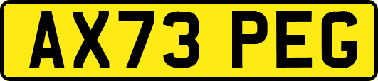 AX73PEG
