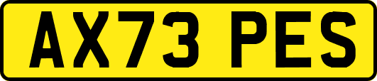 AX73PES