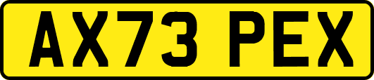 AX73PEX