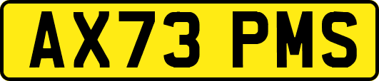 AX73PMS