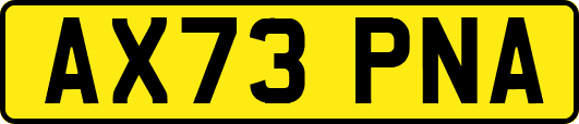 AX73PNA